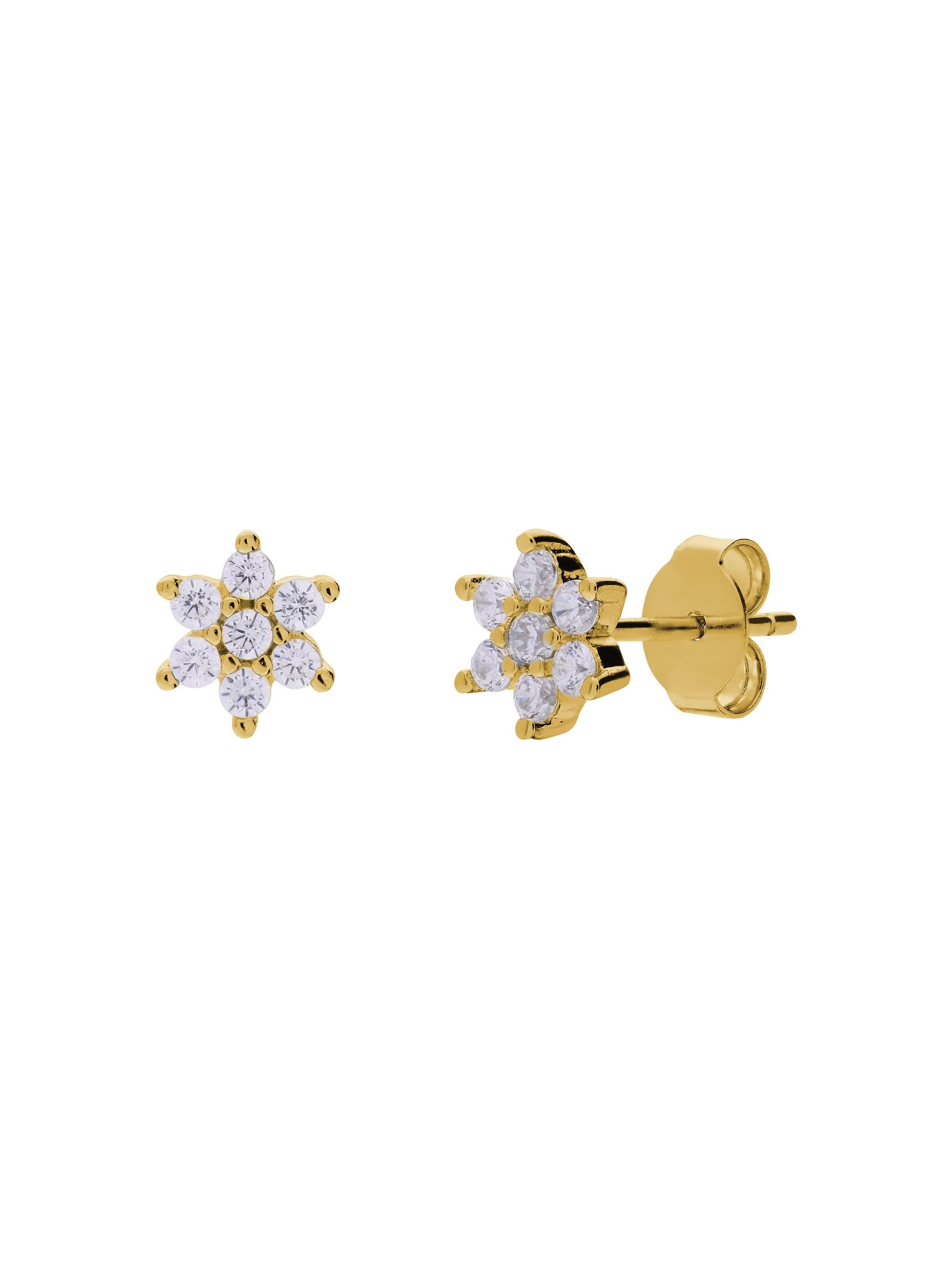 Lucardi Earrings in Gold: front