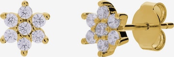 Lucardi Earrings in Gold: front