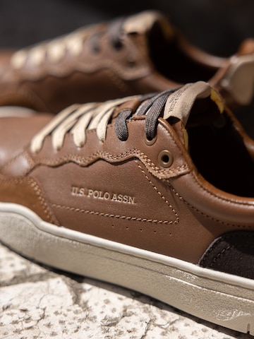 Baskets basses 'Elia' US POLO ASSN. en marron