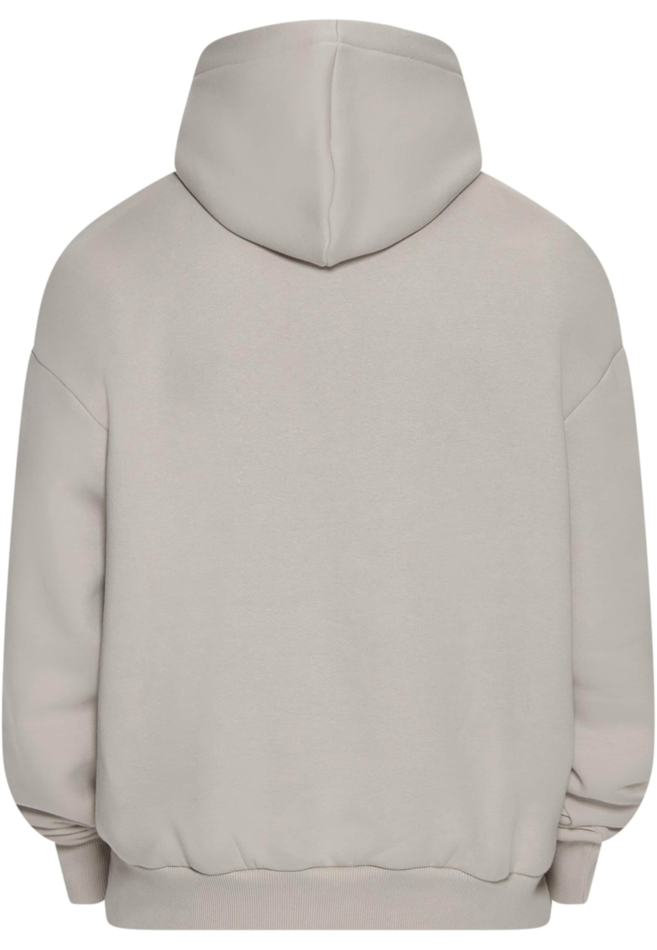 Dropsize Sweatshirt in Grau