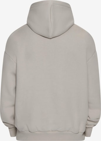 Dropsize Sweatshirt in Grau