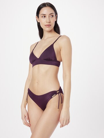 watercult Triangle Bikini Top in Purple