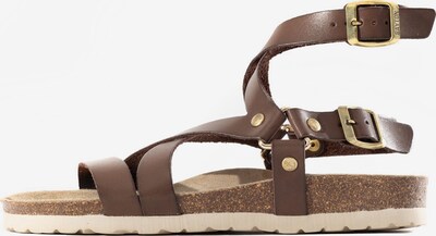 Sandalo con cinturino 'Armidale' Bayton di colore marrone / oro, Visualizzazione prodotti