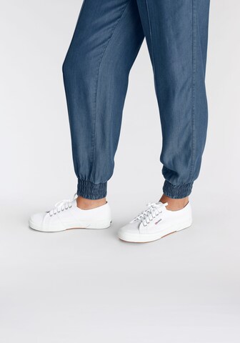 AJC Regular Pants in Blue