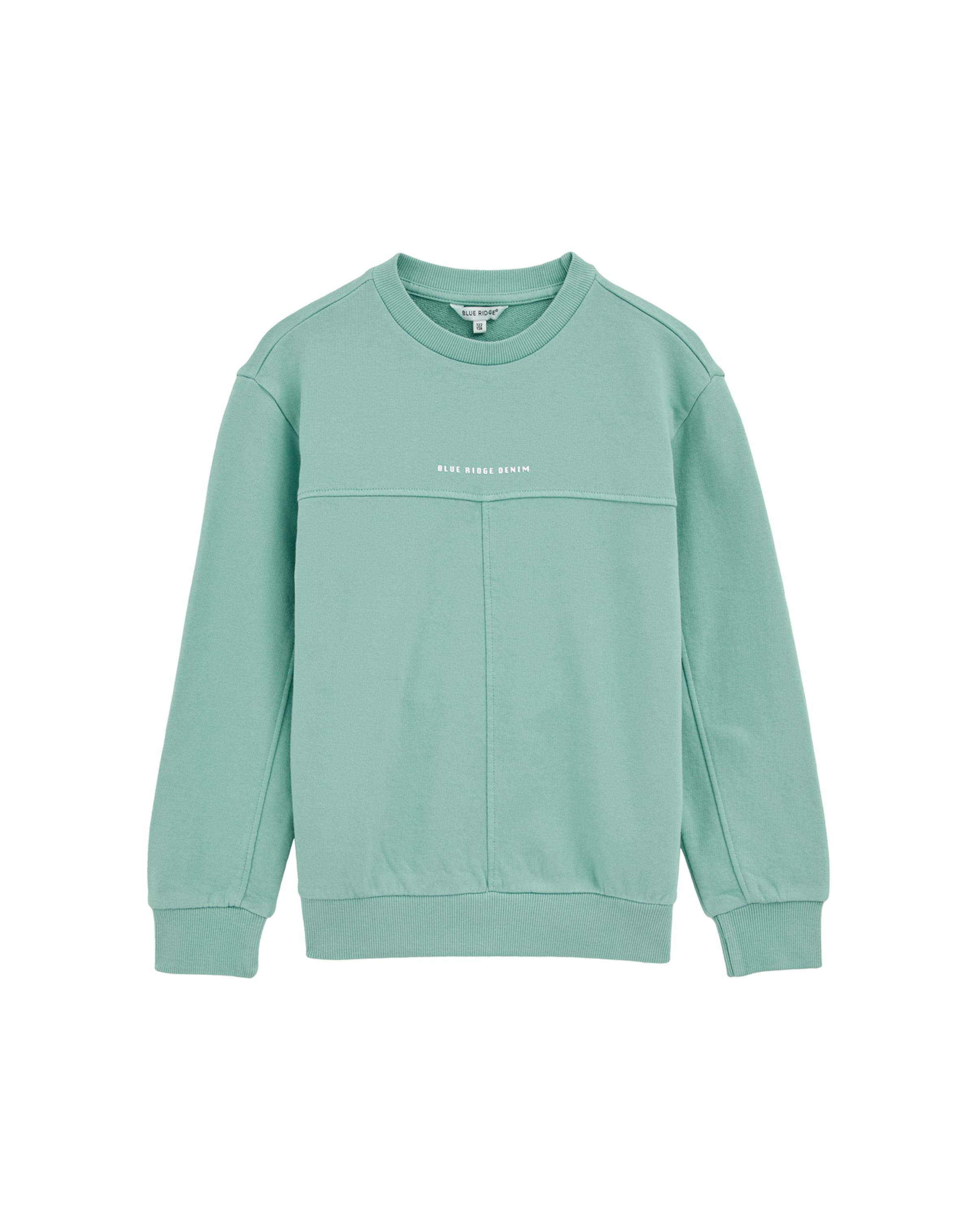 Bluză de molton de la WE Fashion pe verde: față