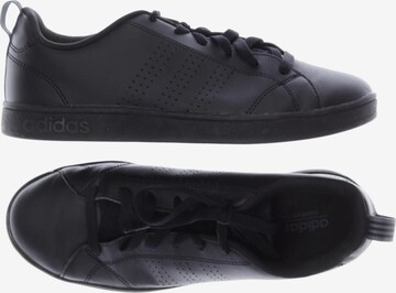 ADIDAS NEO Sneaker 38 5 in Schwarz ABOUT YOU