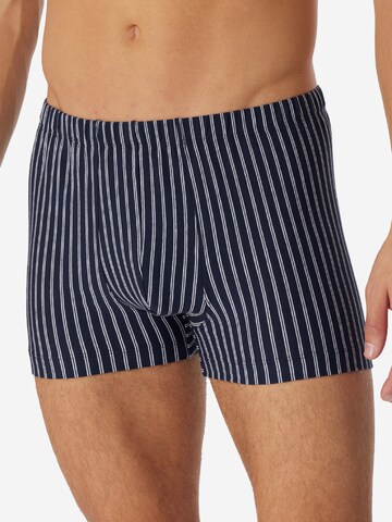SCHIESSER Boxer shorts '95/5 Essentials Cotton' in Blue