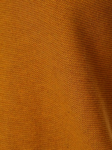 Franco Callegari Sweater in Yellow