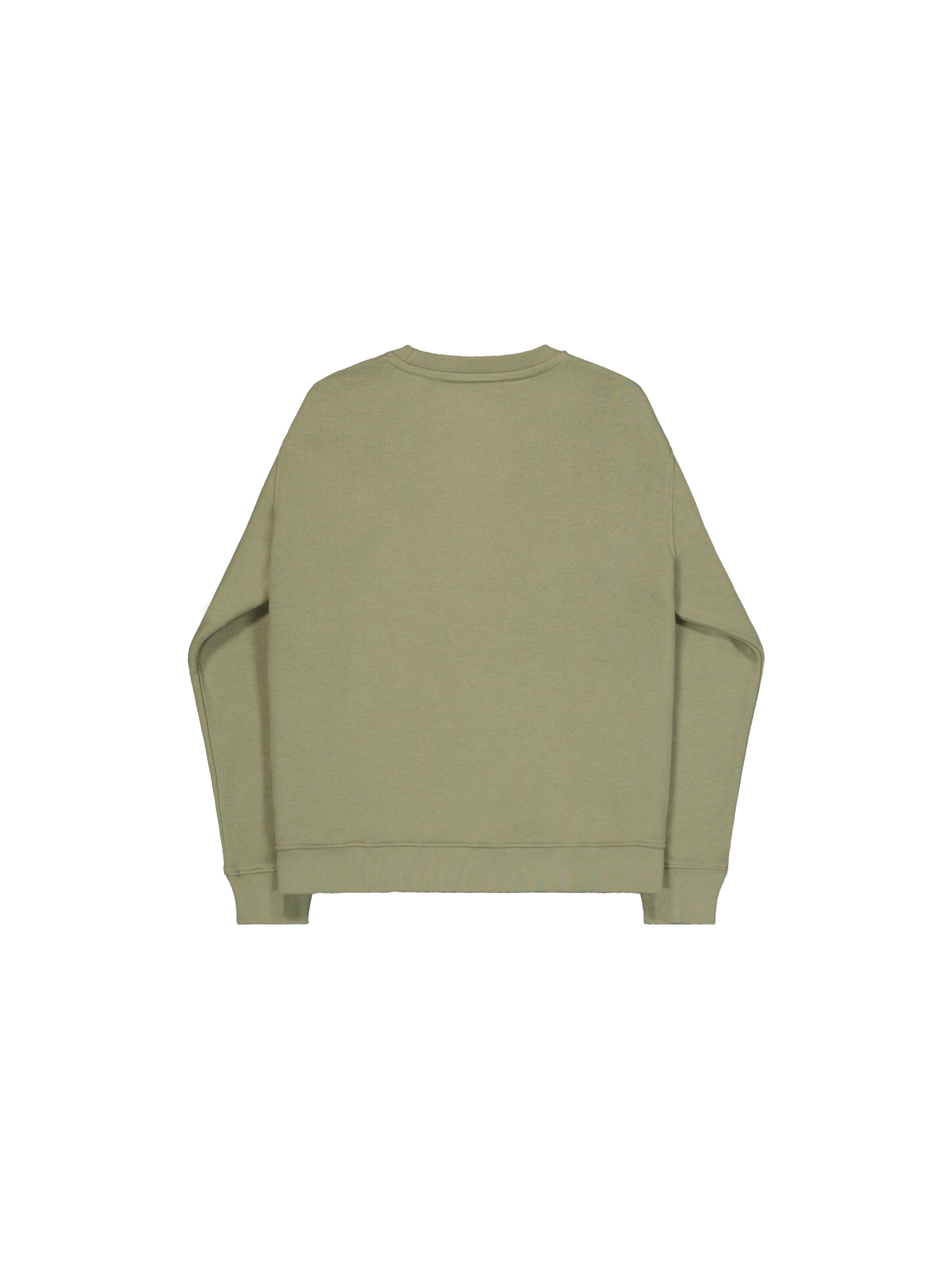 ALPHA INDUSTRIES Sweatshirt in Grün: Rückseite
