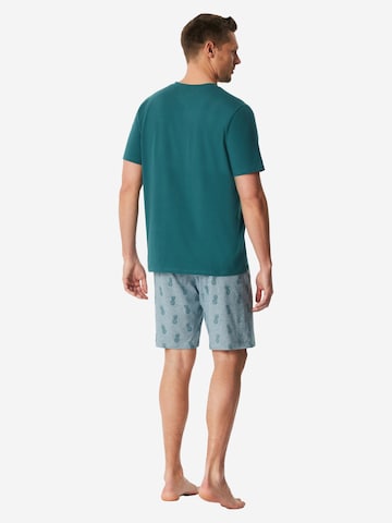 SCHIESSER Pyjama kort in Groen