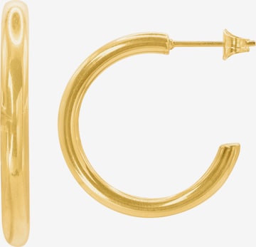 Heideman Earrings 'Rhea ' in Gold: front