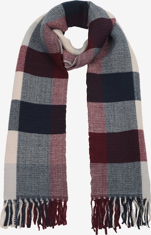 SAMAYA Scarf in Mixed colors: front