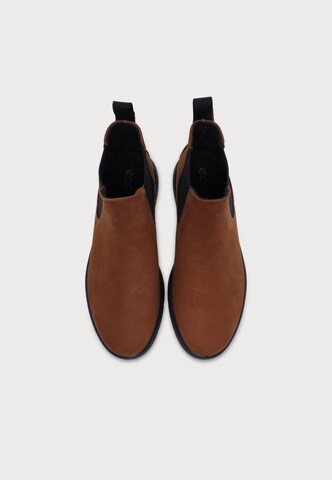 ECCO Chelsea boots 'Bella 2' in Brown