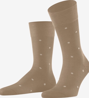 FALKE Socks 'Dot' in Beige: front