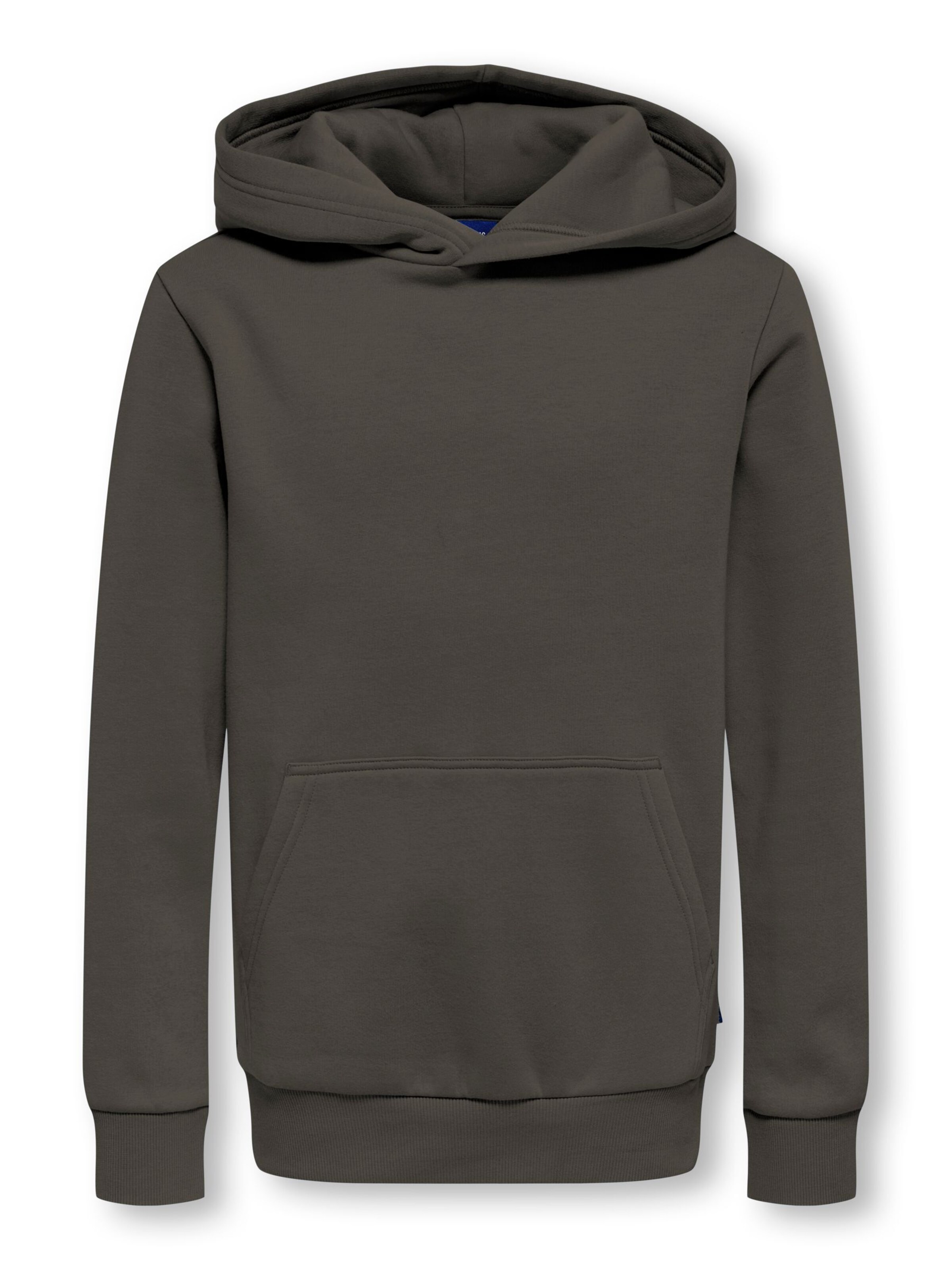 Only & Sons Junior Sweatshirt 'OSJCeres' in Grey: front