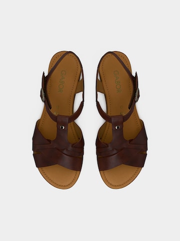 Sandales GABOR en marron