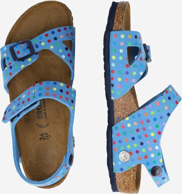 BIRKENSTOCK Sandale 'Colorado' in Blau