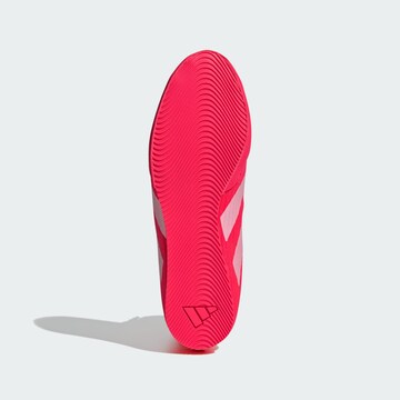 Chaussure de sport 'Box Hog 4' ADIDAS PERFORMANCE en rouge