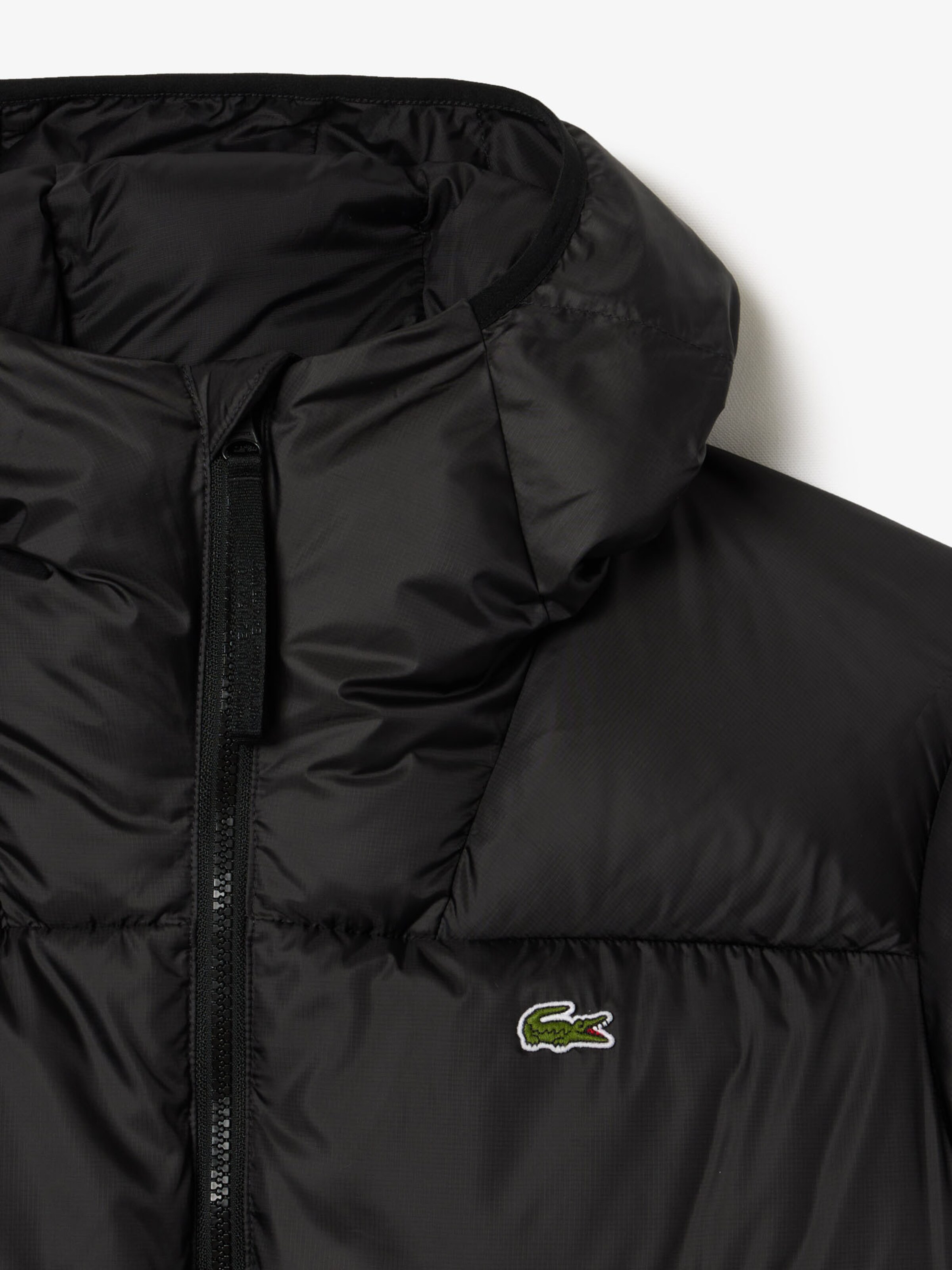 LACOSTE Winter Jacket in Black