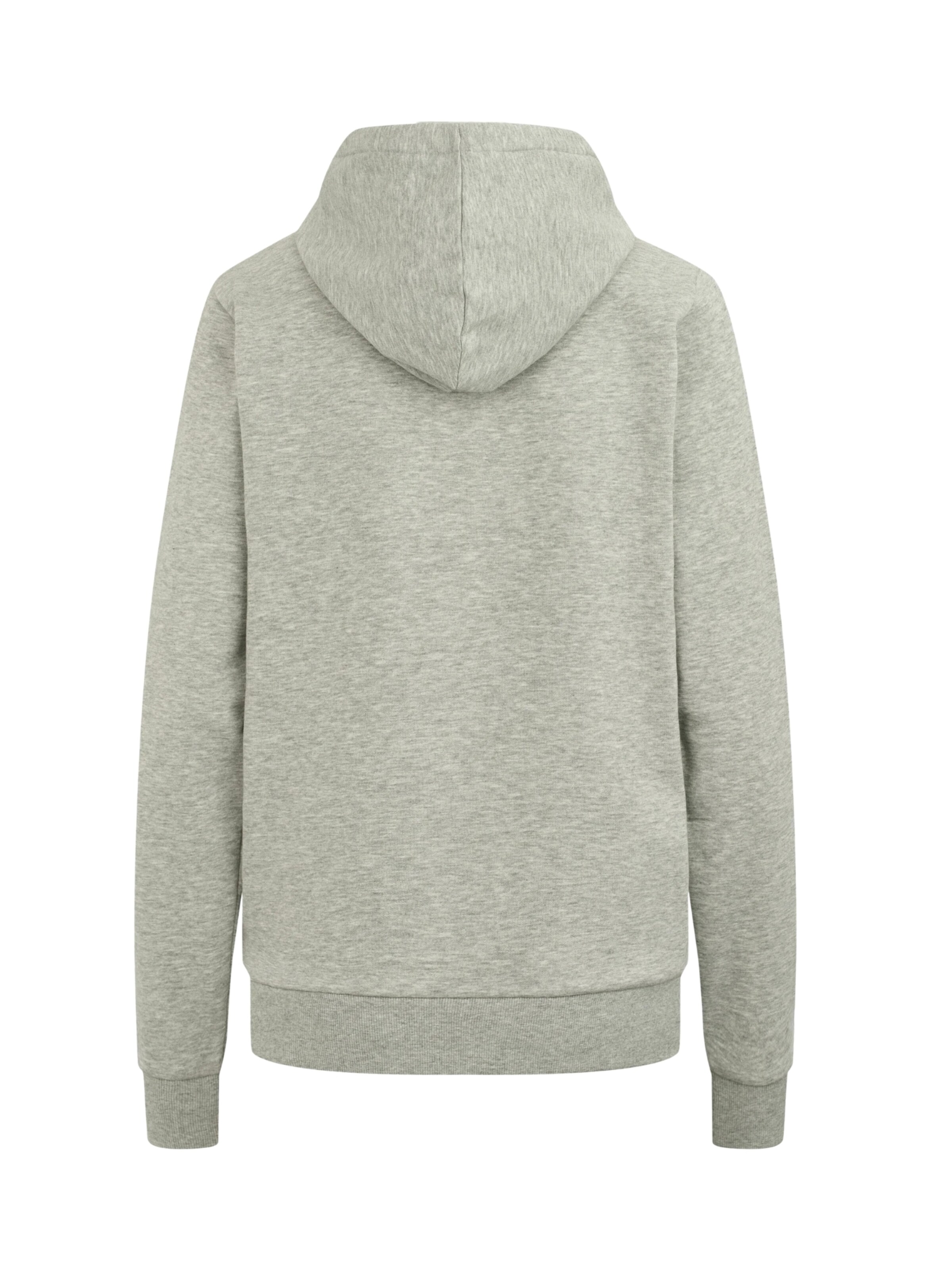 U.S. POLO ASSN. Sweatshirt 'Aba' i grå