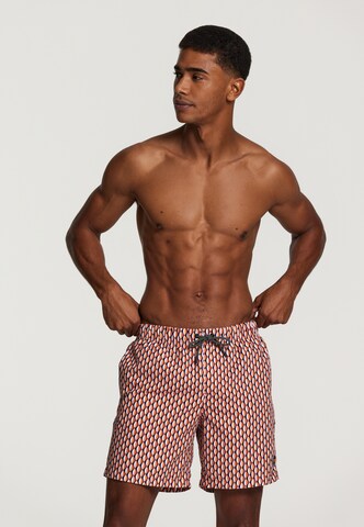 Shiwi Swimming shorts in Brown