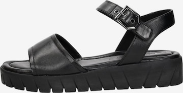 Sandales 'Sandalen Plat' Tamaris en noir : devant