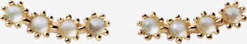 P D PAOLA Earrings 'Motion' in Gold: front