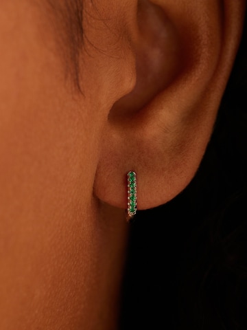 Lucardi Earrings in Silver: front