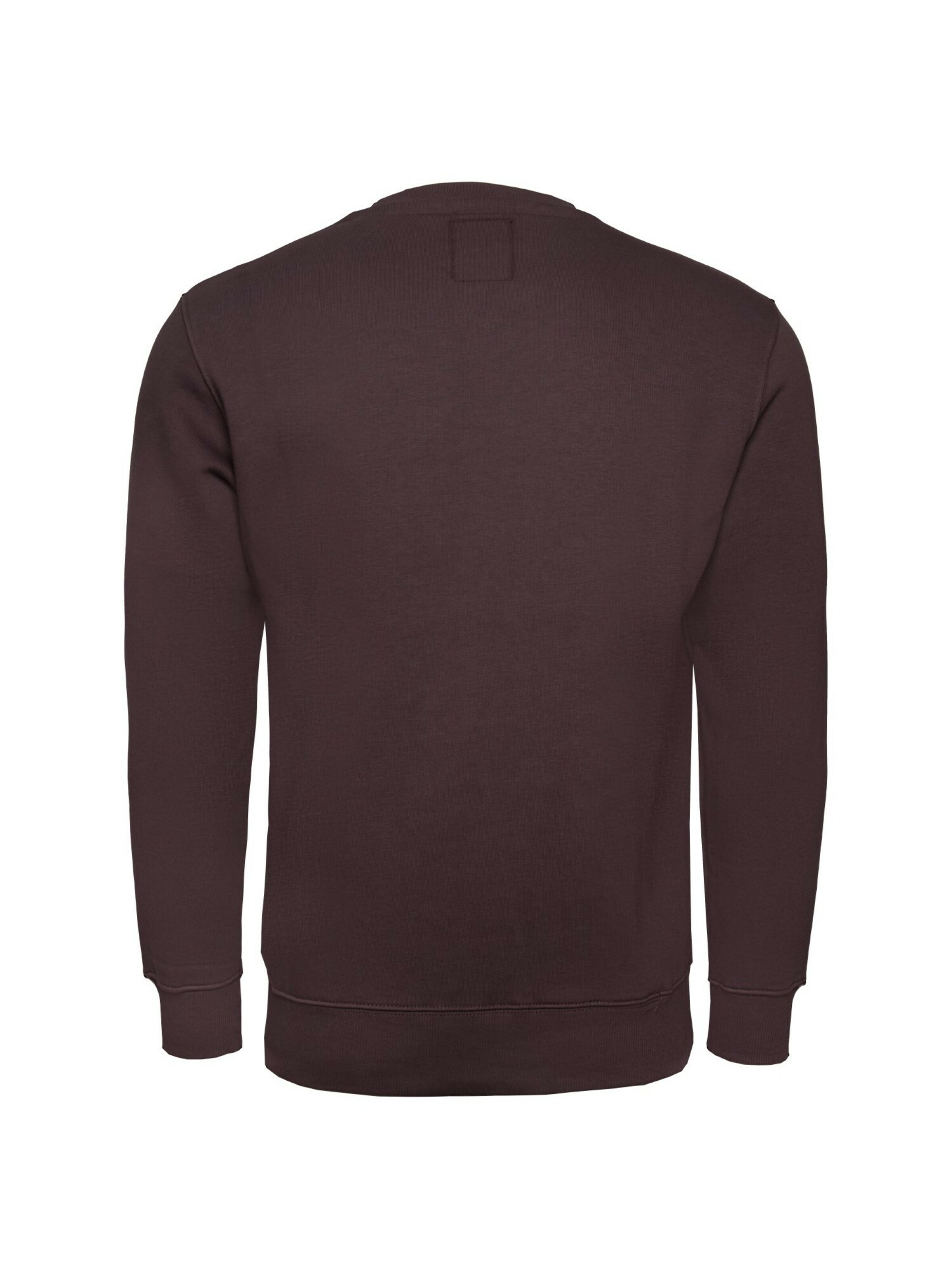 ALPHA INDUSTRIES Sweatshirt in Bruin