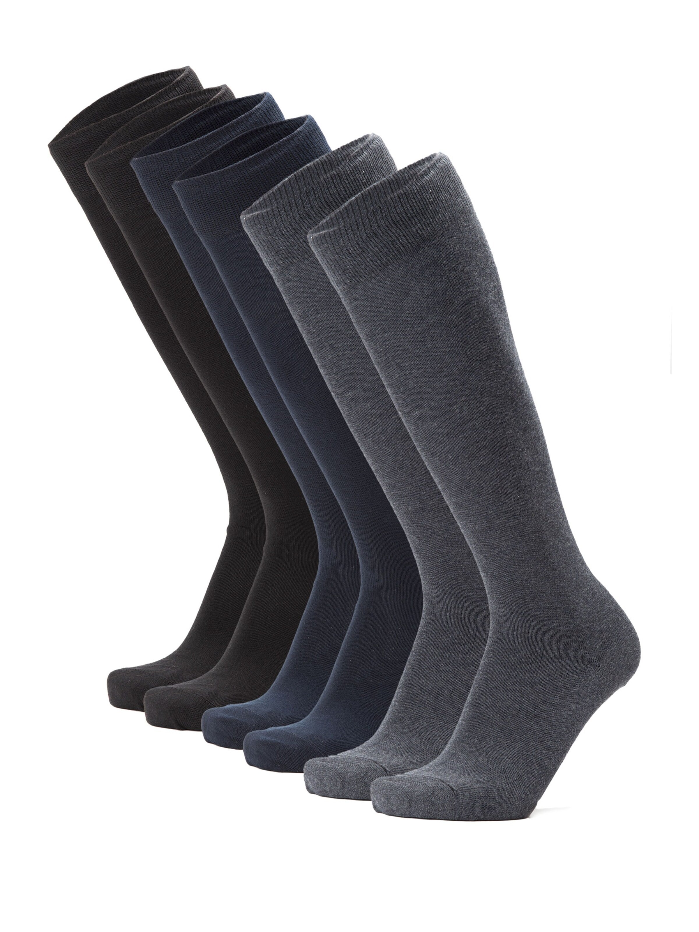 Ciocca Knee High Socks in Mixed colors: front