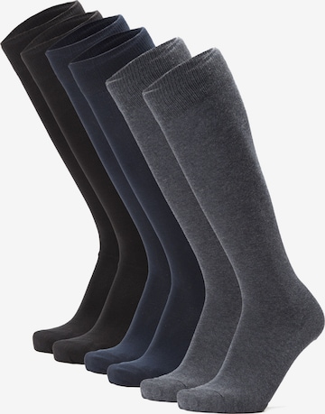 Ciocca Knee High Socks in Mixed colors: front