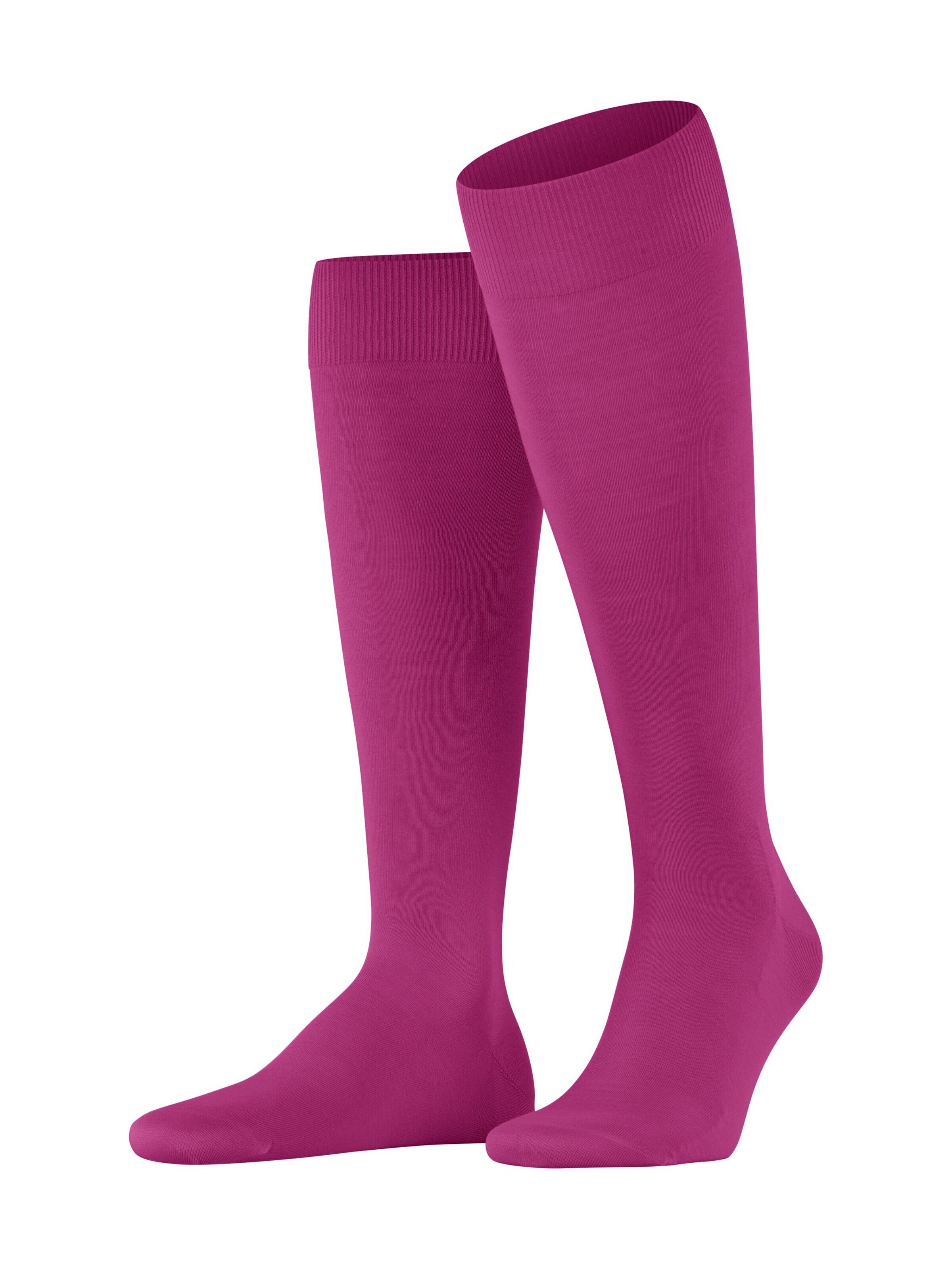FALKE Kniestrümpfe 'ClimaWool'‌‌‌‌‌‌‌‌‌‌ in Lila: Vorderseite