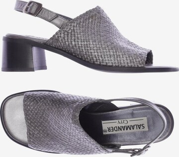 SALAMANDER Sandals & High-Heeled Sandals in 38 in Grey: front