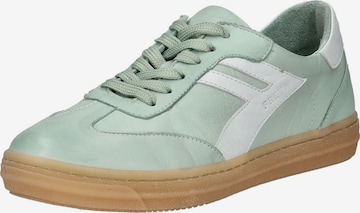 ANDREA CONTI Sneakers laag in Groen: voorkant