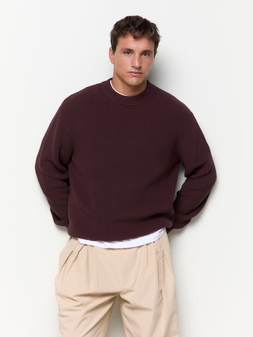 BALMOHK Pullover i brun: forside