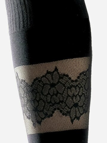 Lycille Kniestrümpfe in Schwarz