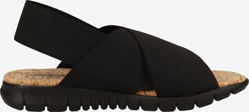 Rapisardi Sandals in Black