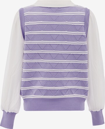 caneva Sweater in Purple