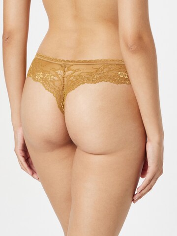 Tanga 'DAILY' de la LingaDore pe bronz