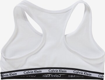 Calvin Klein Underwear Bralette Bra in Blue