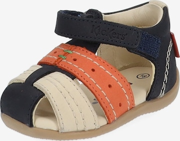 Scarpa bassa di Kickers in colori misti: frontale