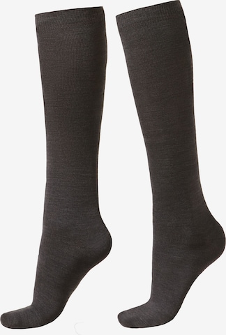 CALZEDONIA Socken in Grau: Vorderseite