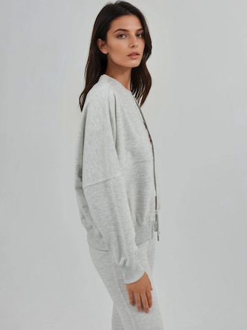 Busem Sweatshirts in Grau