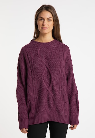Usha Sweater in Purple: front