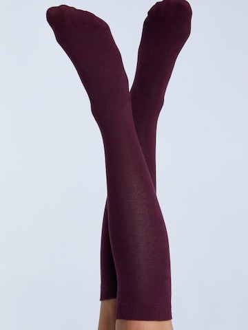 Albero Natur Knee High Socks in Red