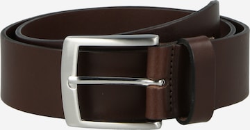 VANZETTI Колан в кафяво: отпред