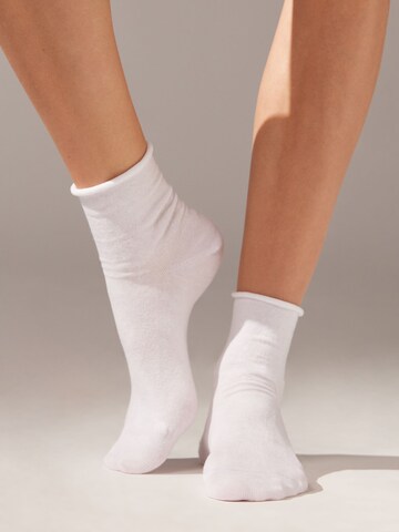 CALZEDONIA Socks in White