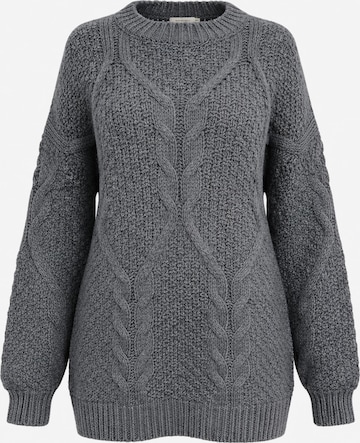 Worldclassca Pullover in Grau: Vorderseite
