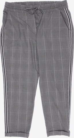 Public Pants in L in Grey: front