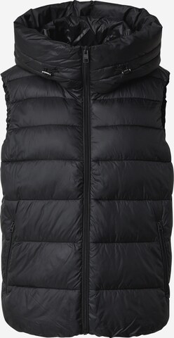 ESPRIT Bodywarmer in Zwart: voorkant